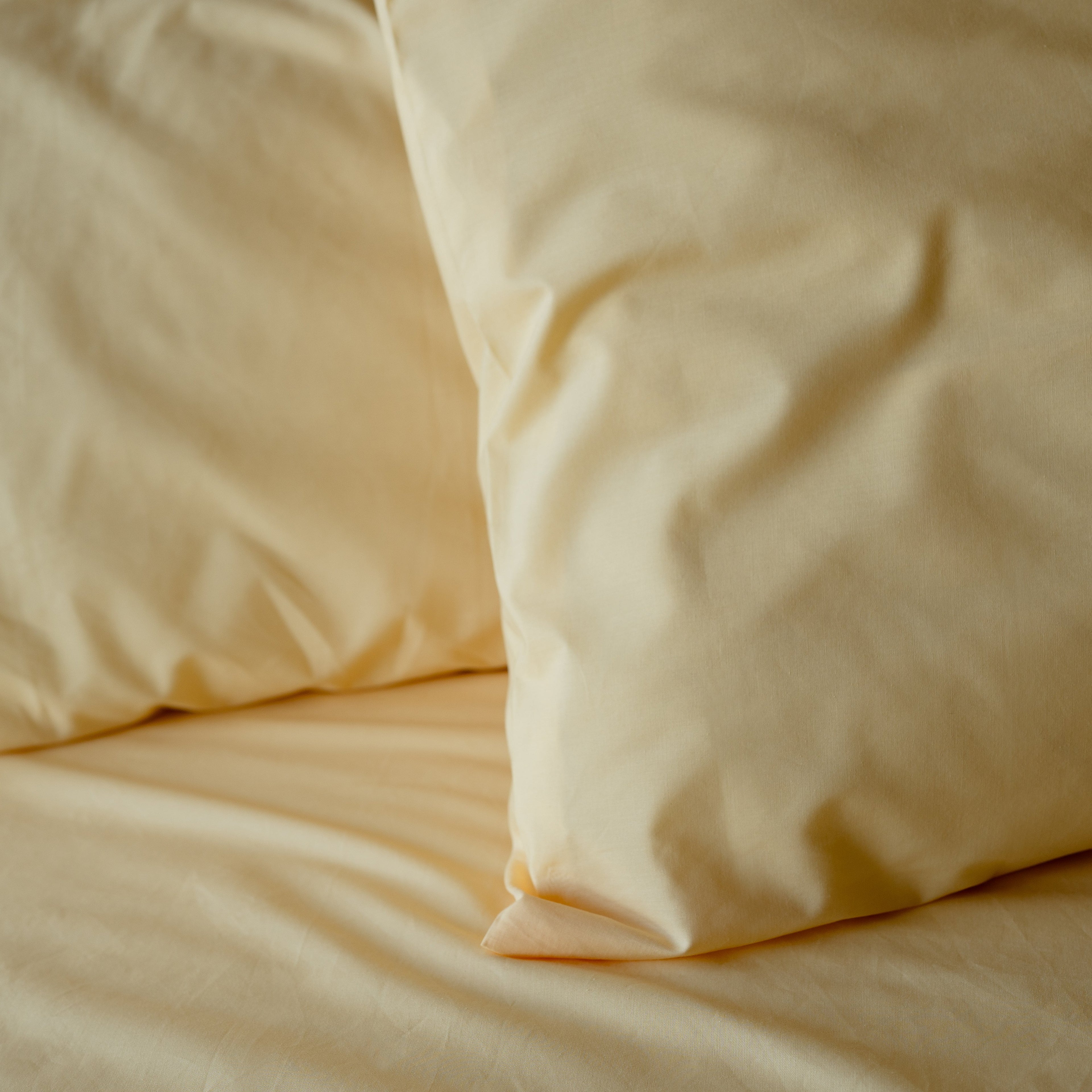 Cotton Bedsheet - Percale